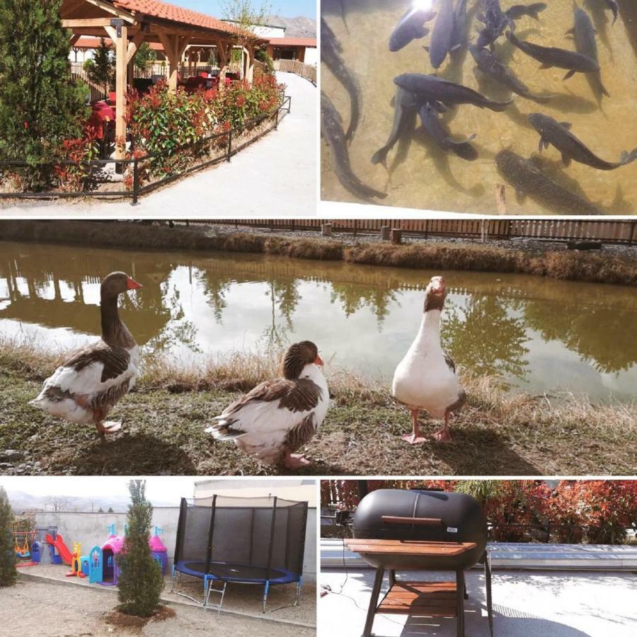 Hotel&Spamontenegro Rivijera 韦莱斯 外观 照片